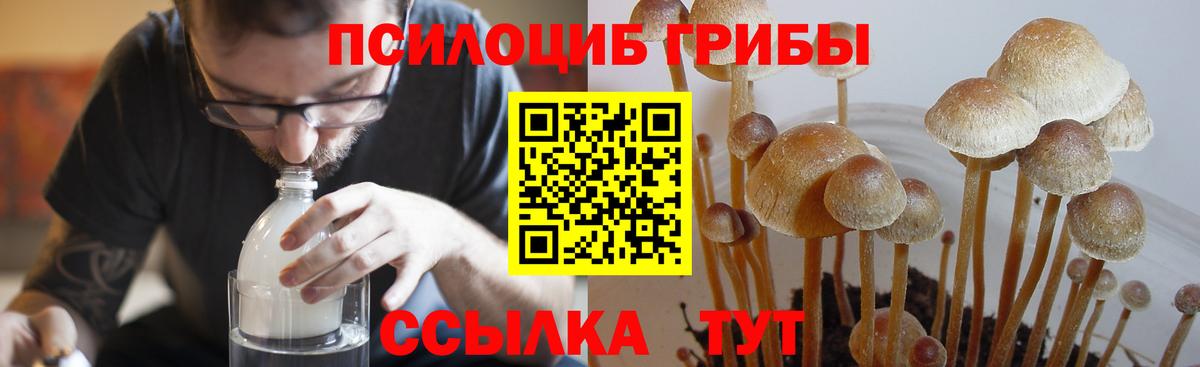 Галлюциногенные грибы прущие грибы  Галлюциногенные грибы Psilocybine cubensis  наркотики  Вход с VPN  Дзержинский 